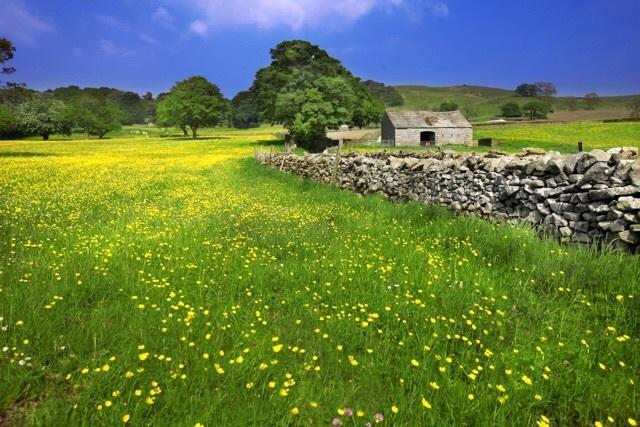 Linton Court Coach House Daire Settle Dış mekan fotoğraf